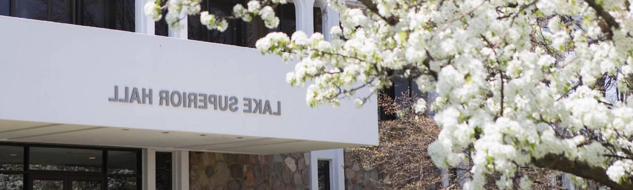 Tree with white flowers in spring in front of Lake Superior Hall.